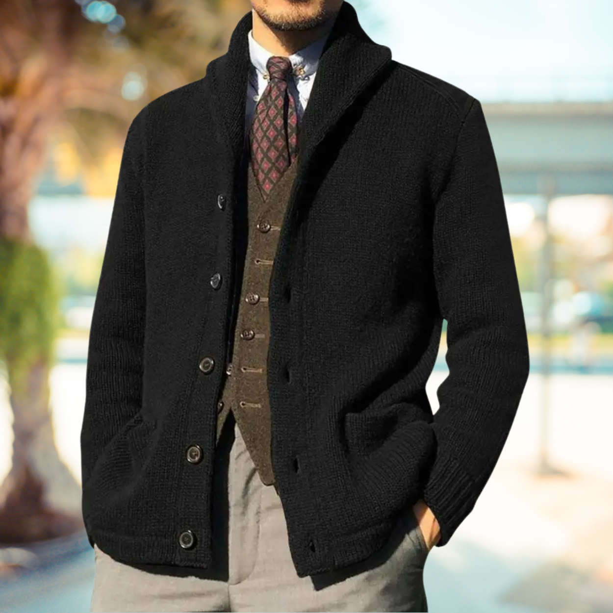 Kristoff | Elegant Long Sleeve Collared Cardigan