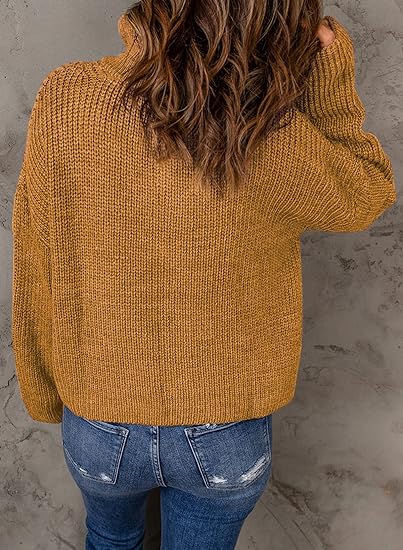 Nerina | High Stand Collar Zip Neck Long Sleeve Pullover