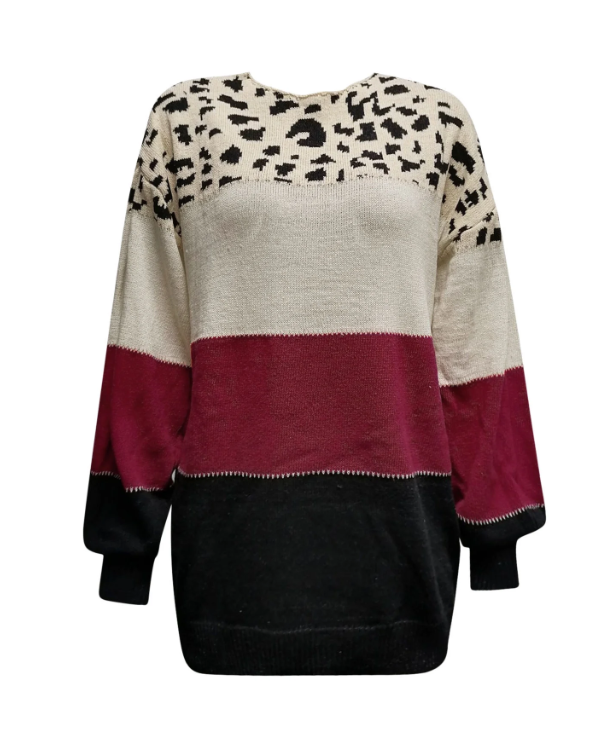 Reina | Women Striped Leopard Print Sweatshirt